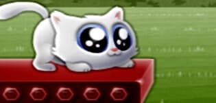 Gatto estremo
