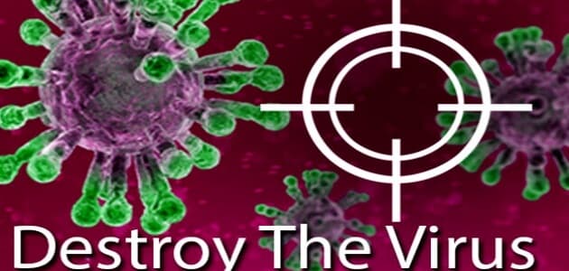 Distruggere il virus