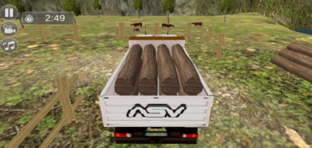 Simulatore di camion indiano in 3D
