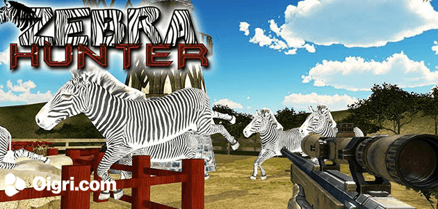 Il cacciatore zebra