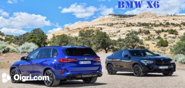 Puzzle BMW X6