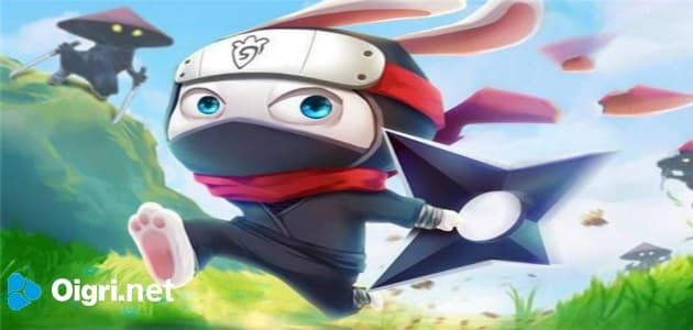 Coniglio ninja