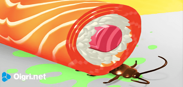 Cuoco di sushi