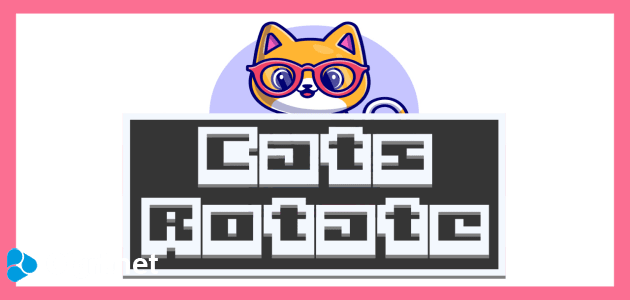 I gatti girano