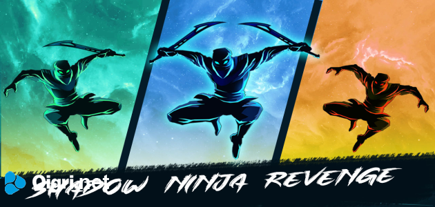 La vendetta del ninja dell'ombra